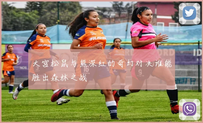大宫松鼠与熊深红的奇幻对决谁能胜出森林之战
