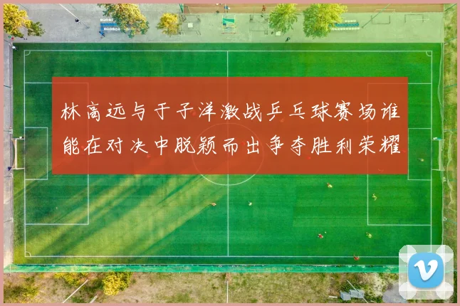 林高远与于子洋激战乒乓球赛场谁能在对决中脱颖而出争夺胜利荣耀