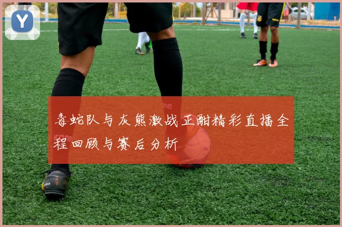 毒蛇队与灰熊激战正酣精彩直播全程回顾与赛后分析