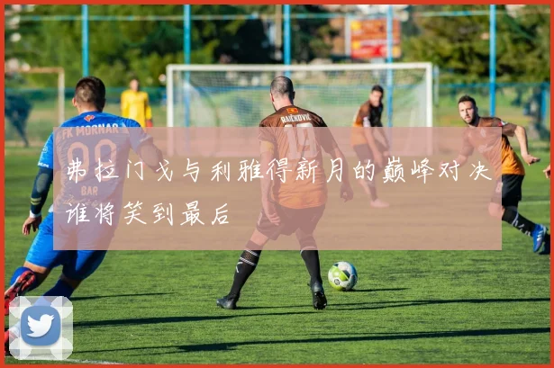 弗拉门戈与利雅得新月的巅峰对决谁将笑到最后